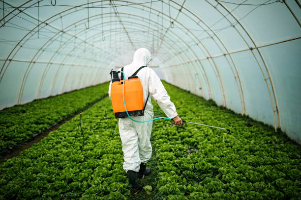 Best Commercial Pest Control Services  in Arcola, VA