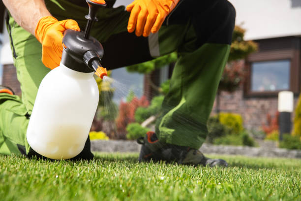Best Mosquito Control Services  in Arcola, VA