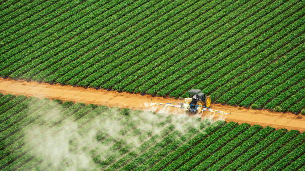 Best Pest Inspection Near Me  in Arcola, VA