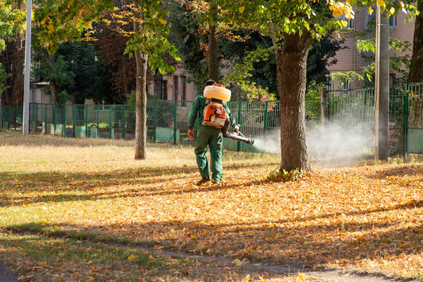 Best Best Pest Control Companies  in Arcola, VA